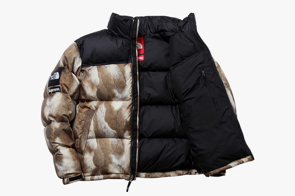 the north face shop usa